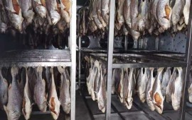 Phân loại cá khô sấy & những điều cần lưu ý khi dùng máy sấy lạnh cá khô