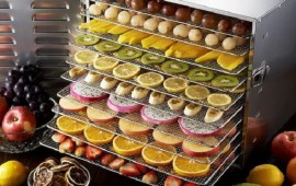 Loại trái cây nào cần được sử dụng máy sấy lạnh hoa quả?